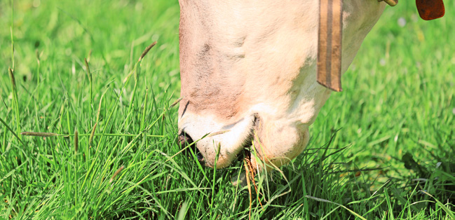 Woche 45 (11.11.-17.11.2024)